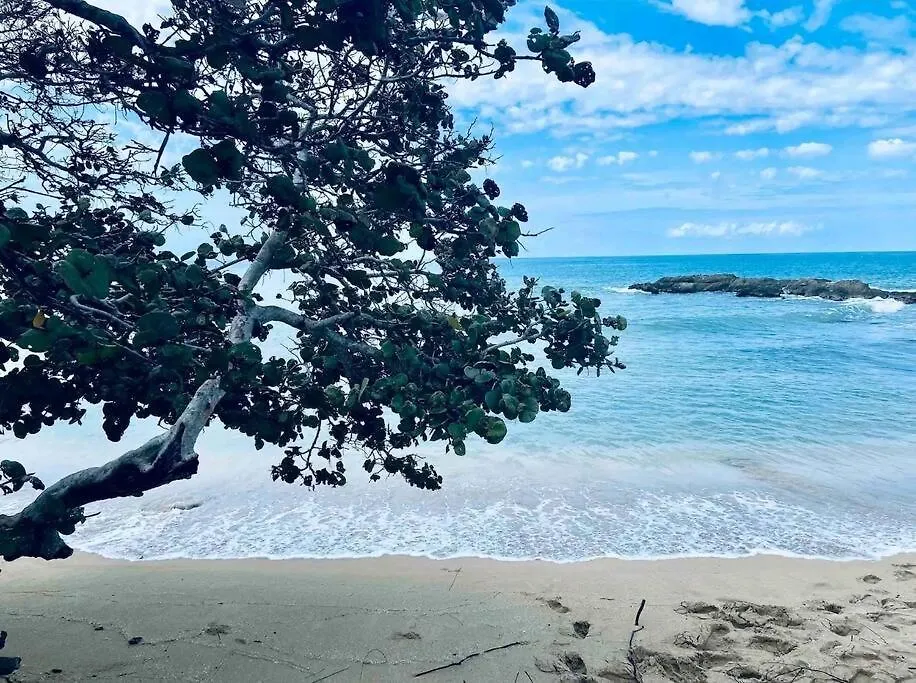 Snooze At Oceanpointe Villa Lucea
